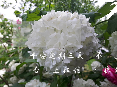 平安逾期三天會不會上征信，平安逾期三天是否會上征信？你需要知道的一切